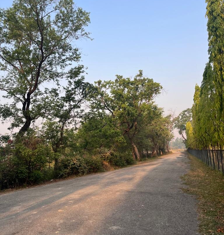 Lumbini Hokke Hotel主图