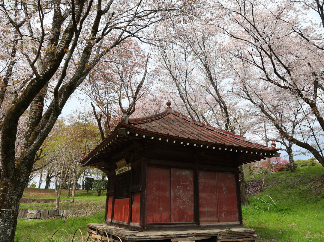 Isobe Sakuragawa Park-樱川市必去景点