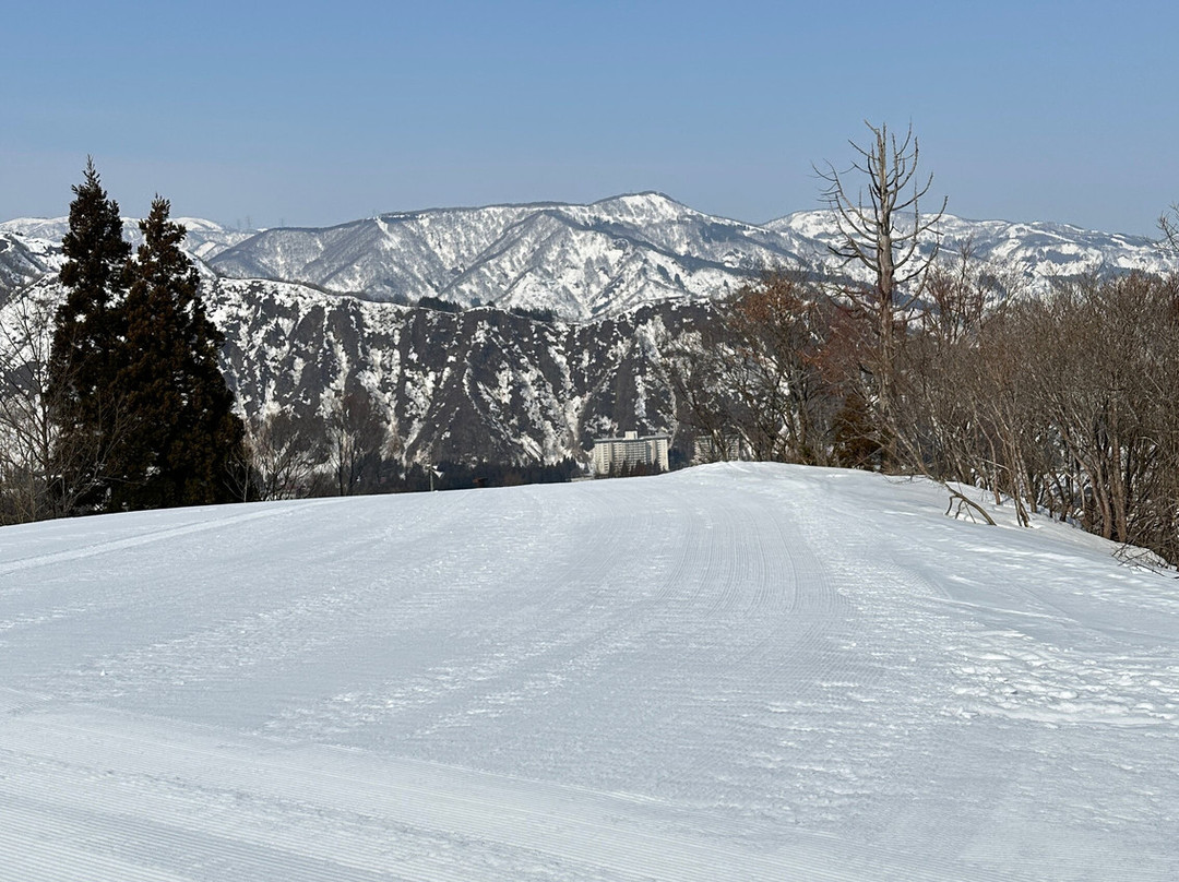 Yuzawa Nakazato Ski Resort景点图片