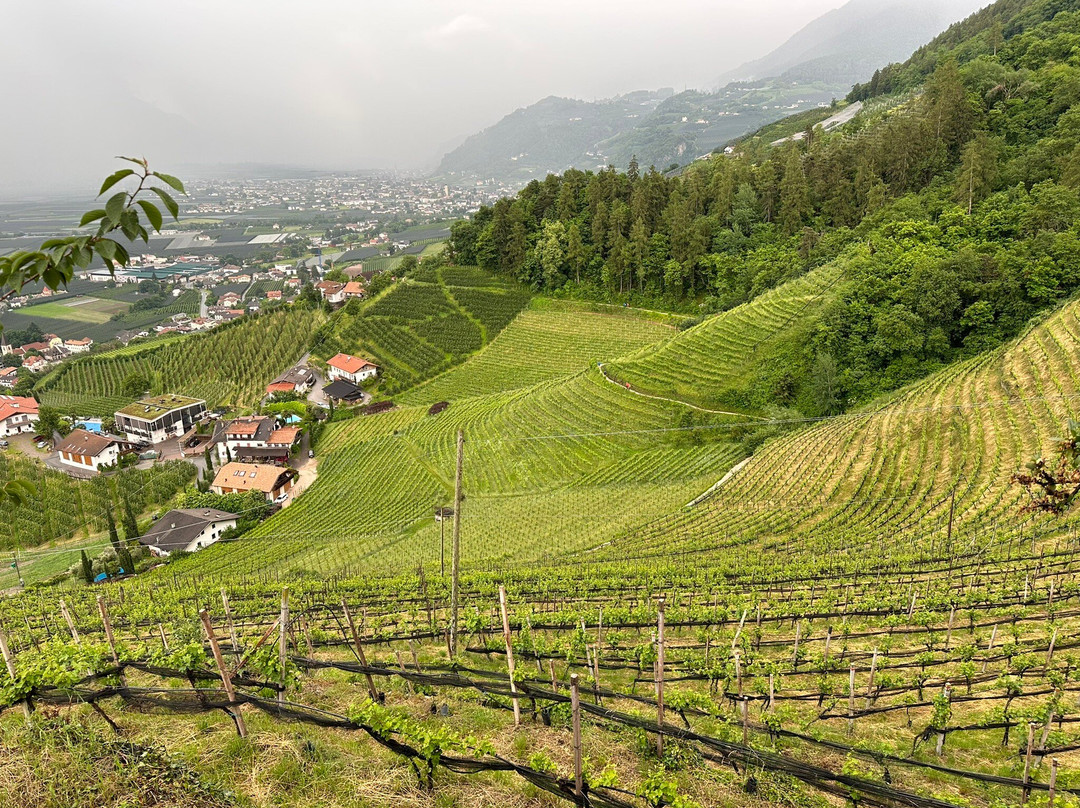Castel Monteleone-Cermes必去景点