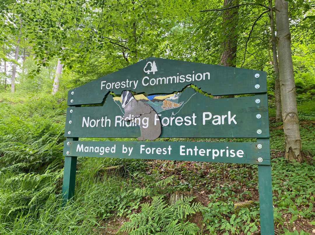 Dalby Forest景点图片