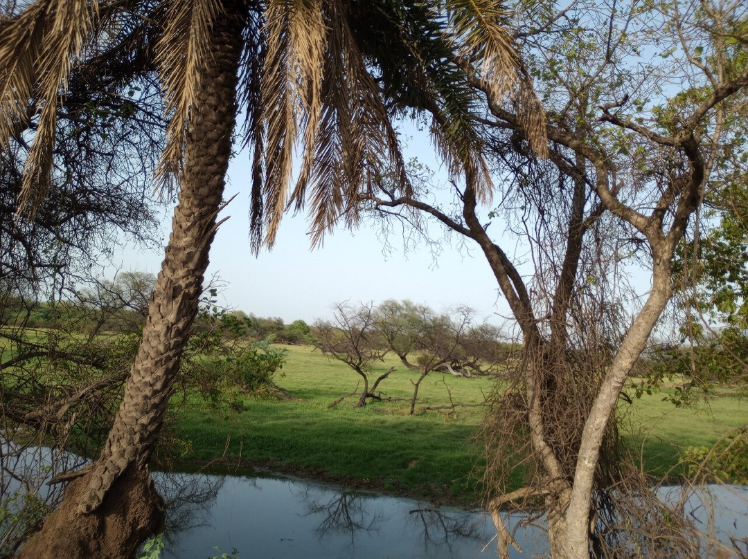 Bharatpur Bird Sanctuary景点图片