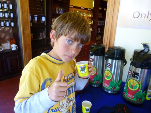 Vive Travels-圣何塞必去景点