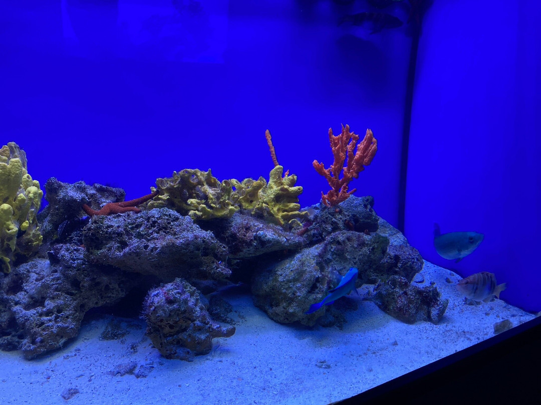 Acquario Del Salento-Santa Maria al Bagno必去景点