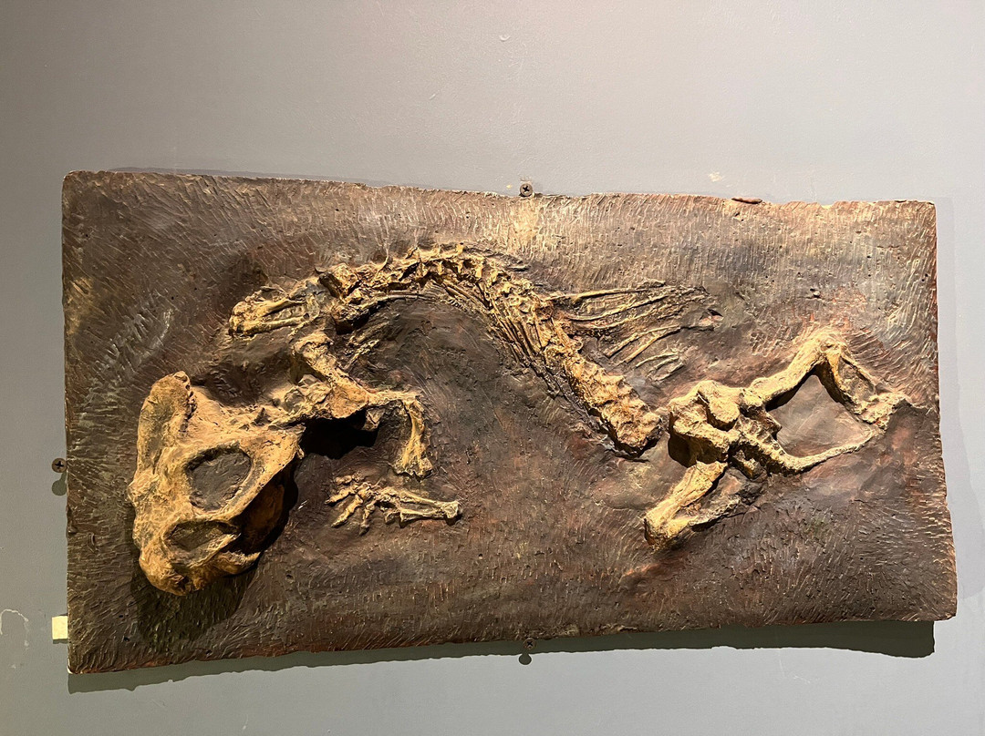 Kitching Fossil Exploration Centre-Nieu-Bethesda必去景点