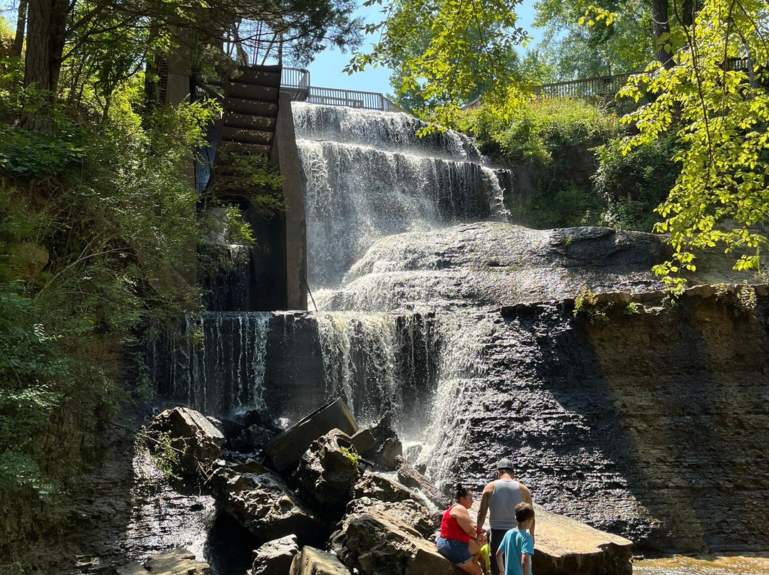 Dunn's Falls Water Park景点图片