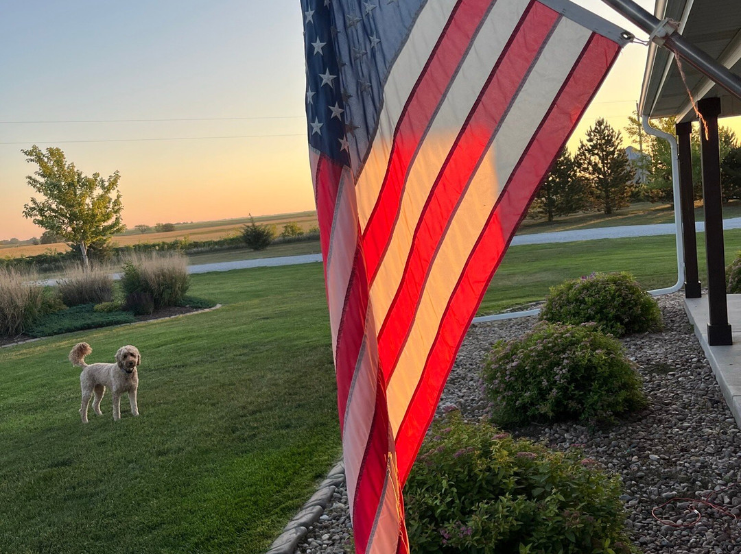 Cobblestone Hotel & Suites - Cozad主图