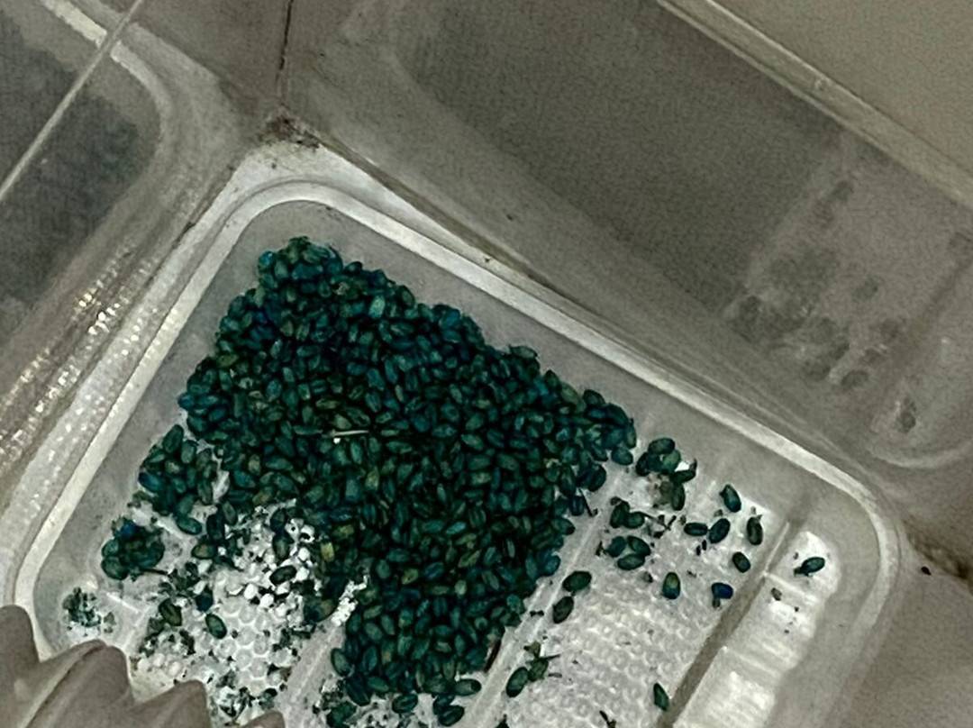 Ulan-Ude Park Hotel主图