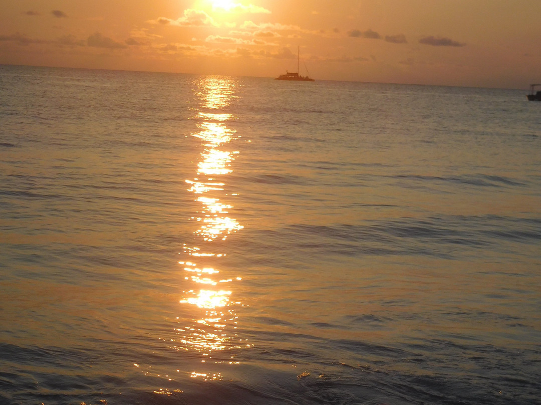 Negril Tree House Resort主图