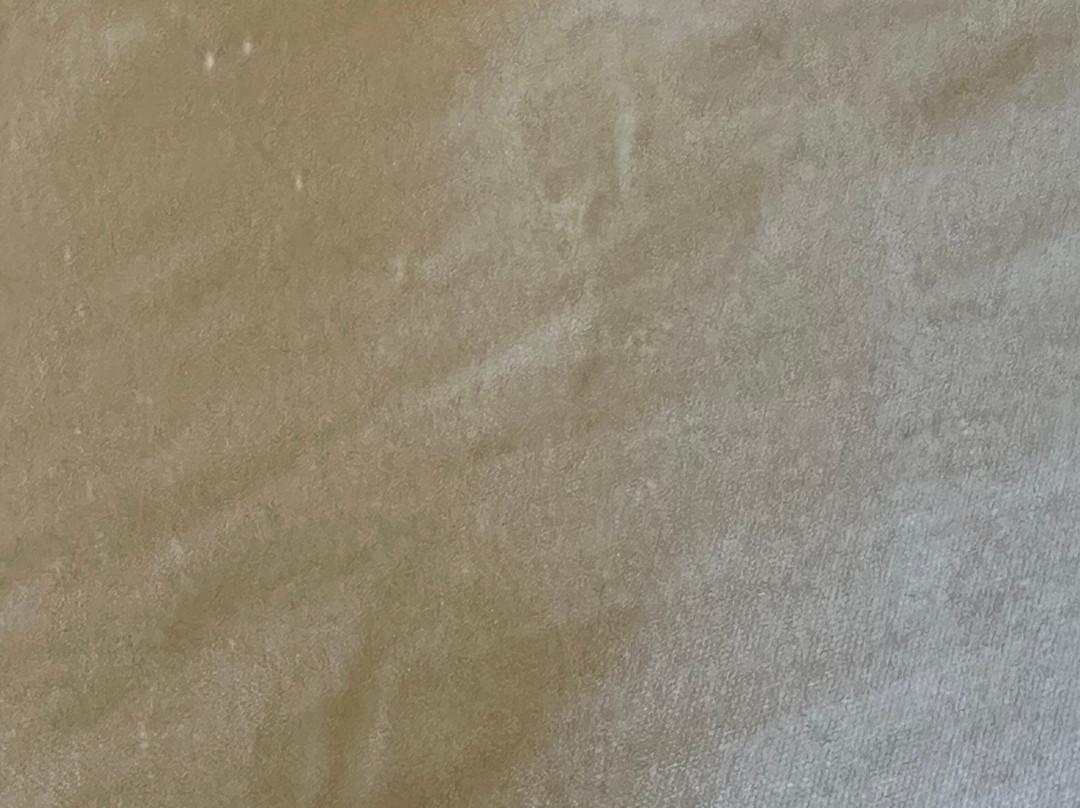 Sleep Inn Charleston - West Ashley主图