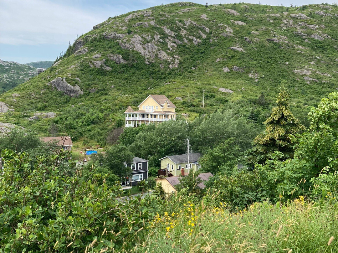 Petty Harbour Mini Aquarium-Petty Harbour必去景点
