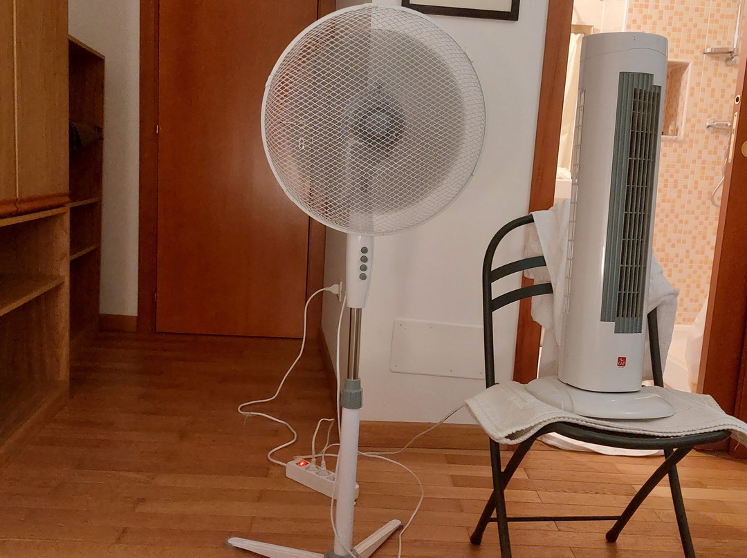 La Gatta sul Tetto主图