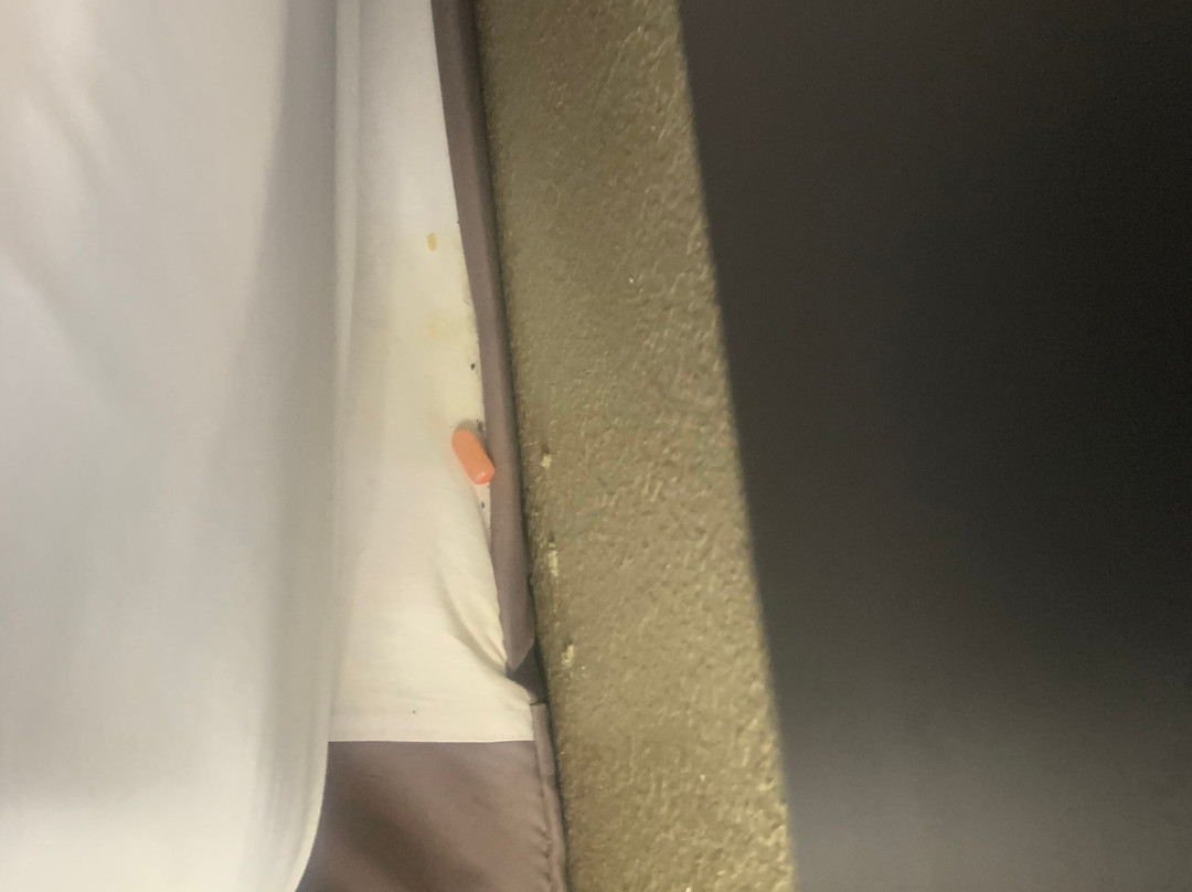 Super 8 by Wyndham Locust Grove主图