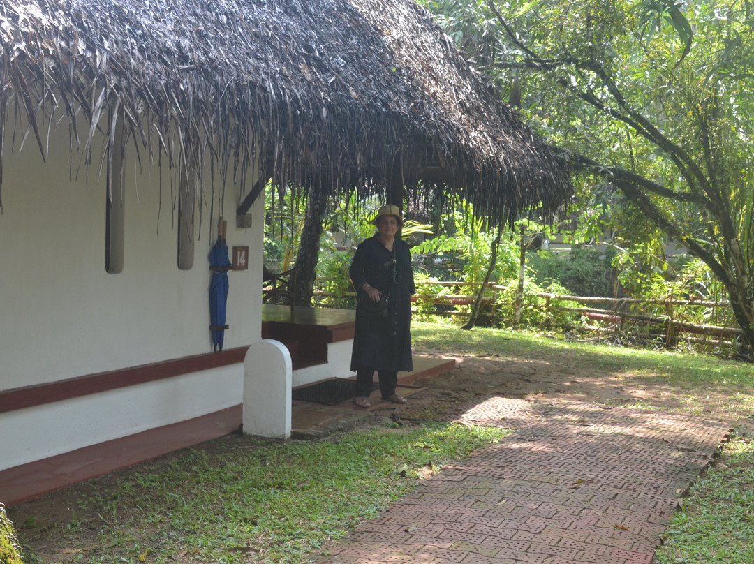 Marari Beach - CGH Earth主图