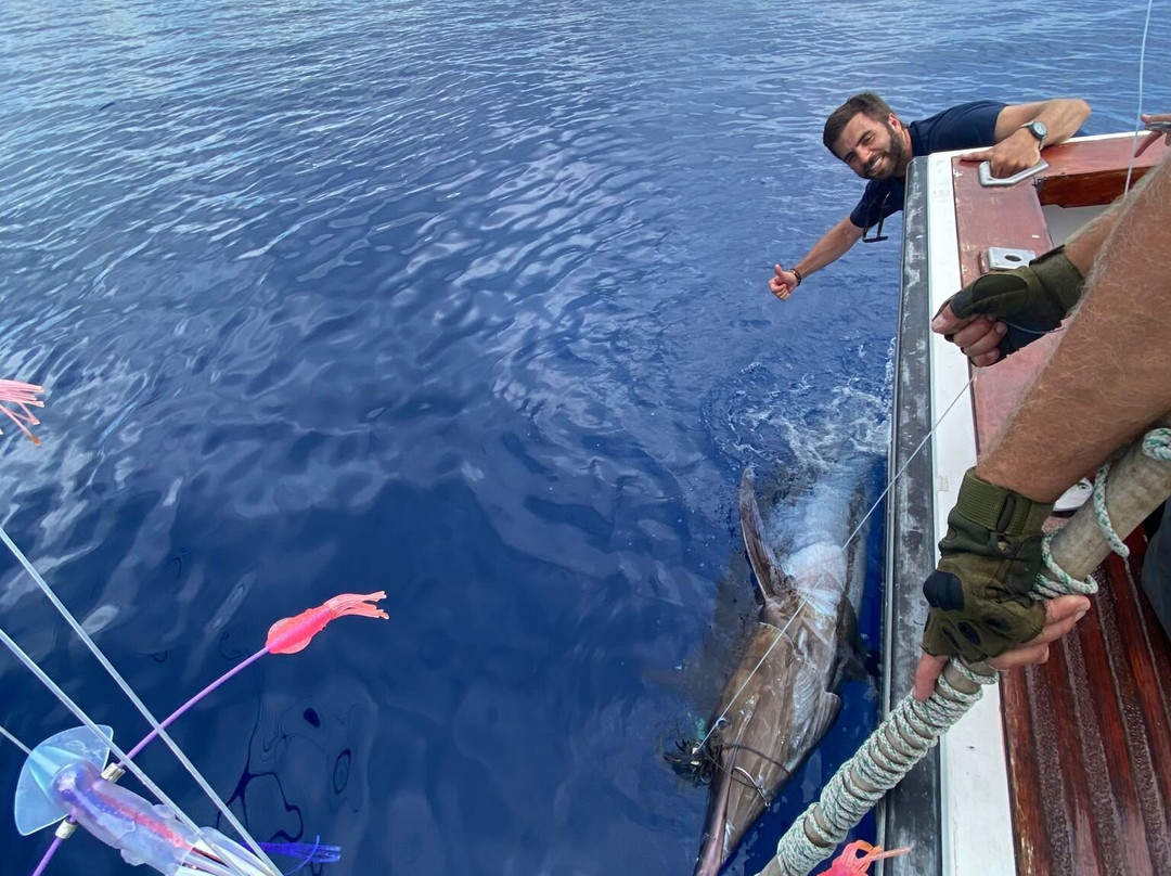 Azores Fishing景点图片