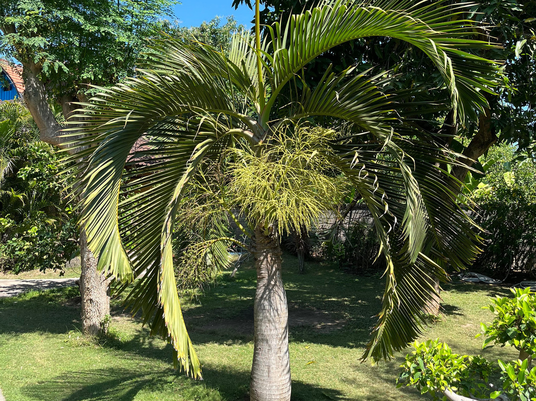 Biorock Homestay主图