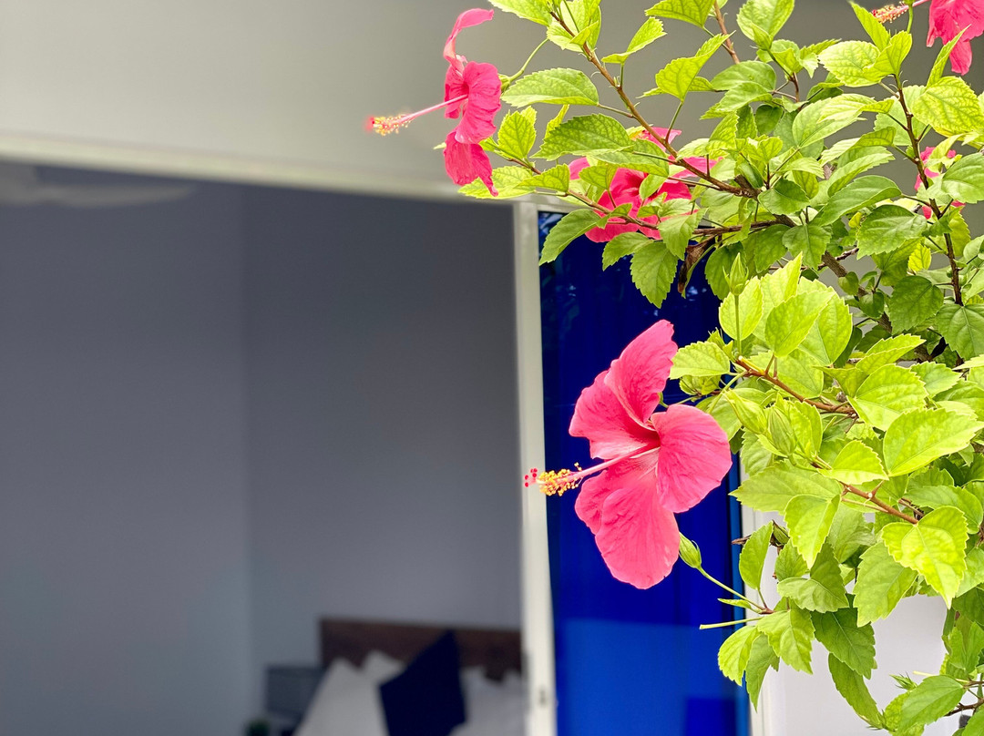 Tides Dhigurah主图