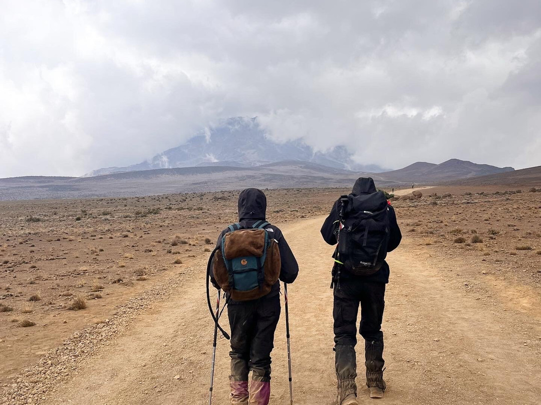 Shizi Safari-阿鲁沙必去景点