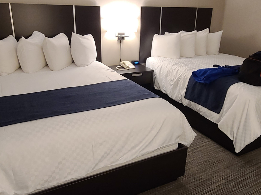 斯通克罗夫特酒店主图