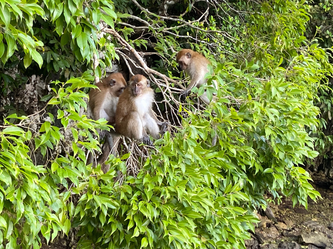 Boat Trip Island Hopping-兰卡威必去景点