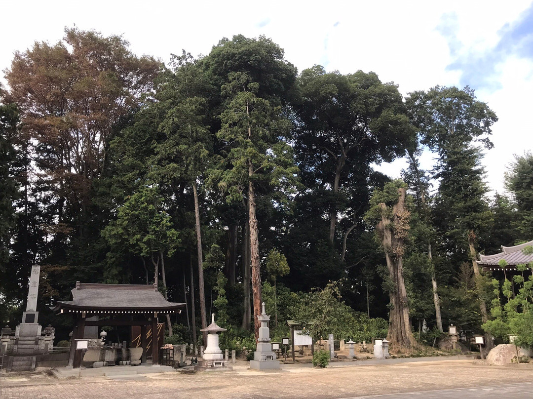 Ryukoji Temple-下野市必去景点