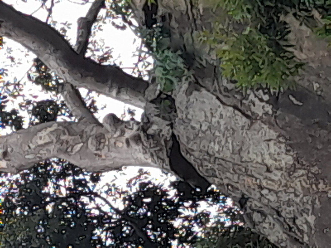 Kurullangala-埃勒必去景点