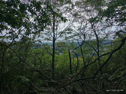 Schenley Park-匹兹堡必去景点