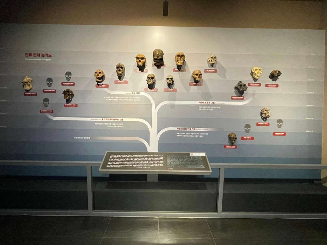 National Science Museum-大田必去景点