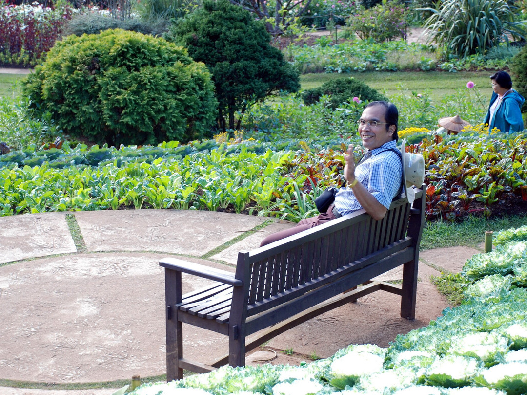 The Royal Agricultural Station Angkhang-芳县必去景点