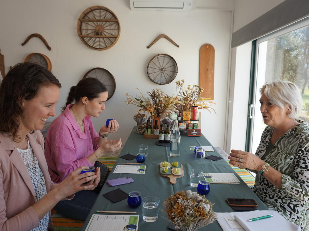 Pepe Aromas-Arraiolos必去景点