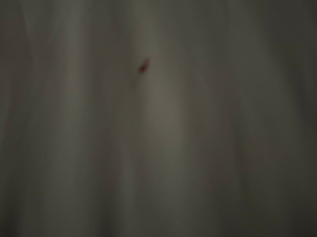 Quality Inn Clemmons I-40主图