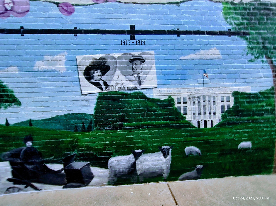 Downtown Wytheville Virginia-Wytheville必去景点