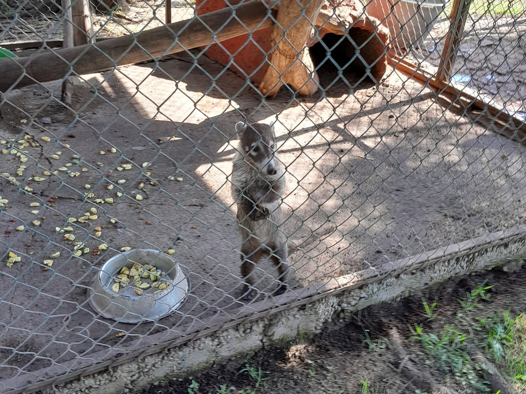 Zoologico de Moroleon景点图片