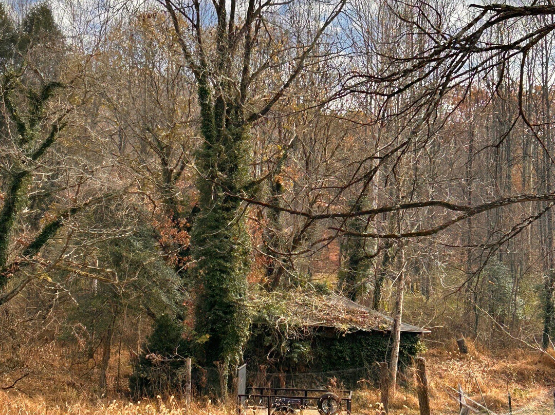 Fletcher Creek Covered Bridge-Clarksburg必去景点