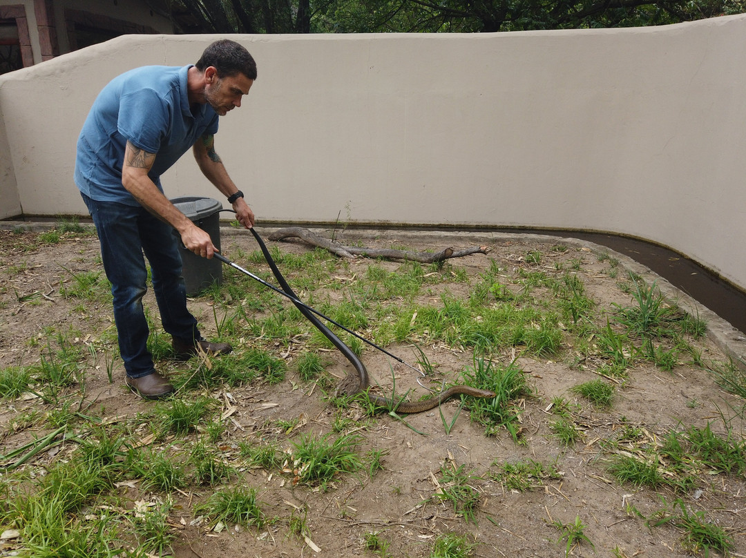 Snake Pharm-赫卢赫卢韦必去景点