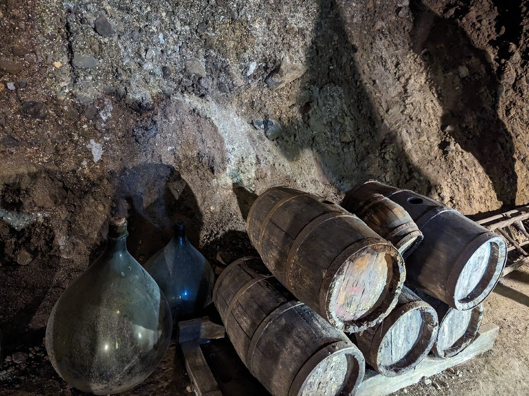 Minardi Winery - Frascati景点图片
