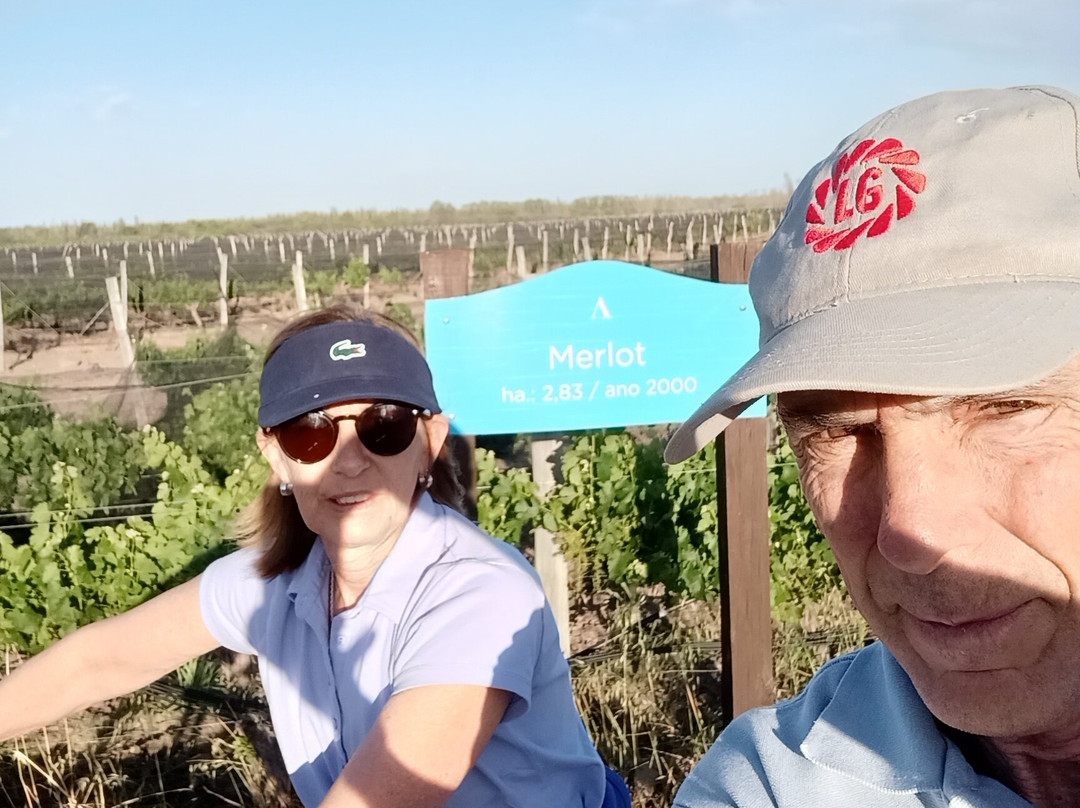 Algodon Wine Estates主图