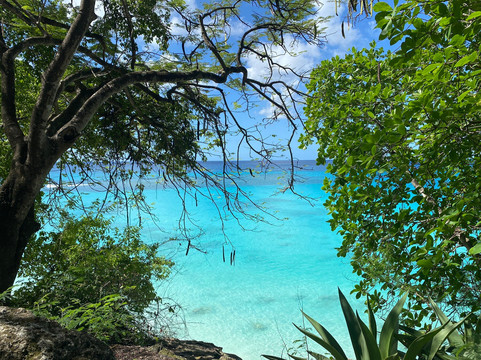 Captain Larry's Ebikes Tours & Rentals-布里奇顿必去景点