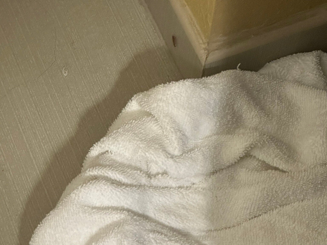 Holiday Inn Express & Suites Jackson/Pearl Intl Airport by IHG主图