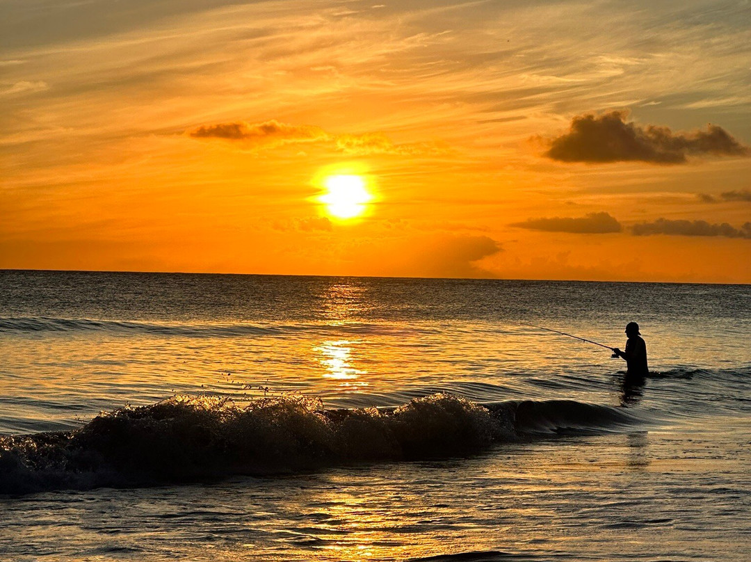 Tiki Bar-Worthing必去景点