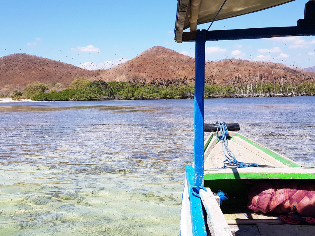 Riung 17 Island Marine Park景点图片