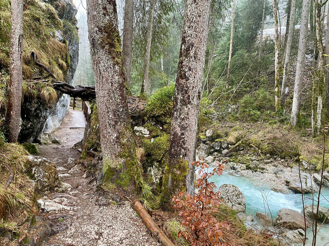 Zauberwald am Hintersee-拉姆绍必去景点