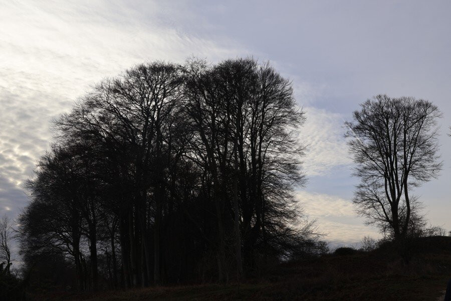 Danebury Iron Age Hill Fort-Nether Wallop必去景点