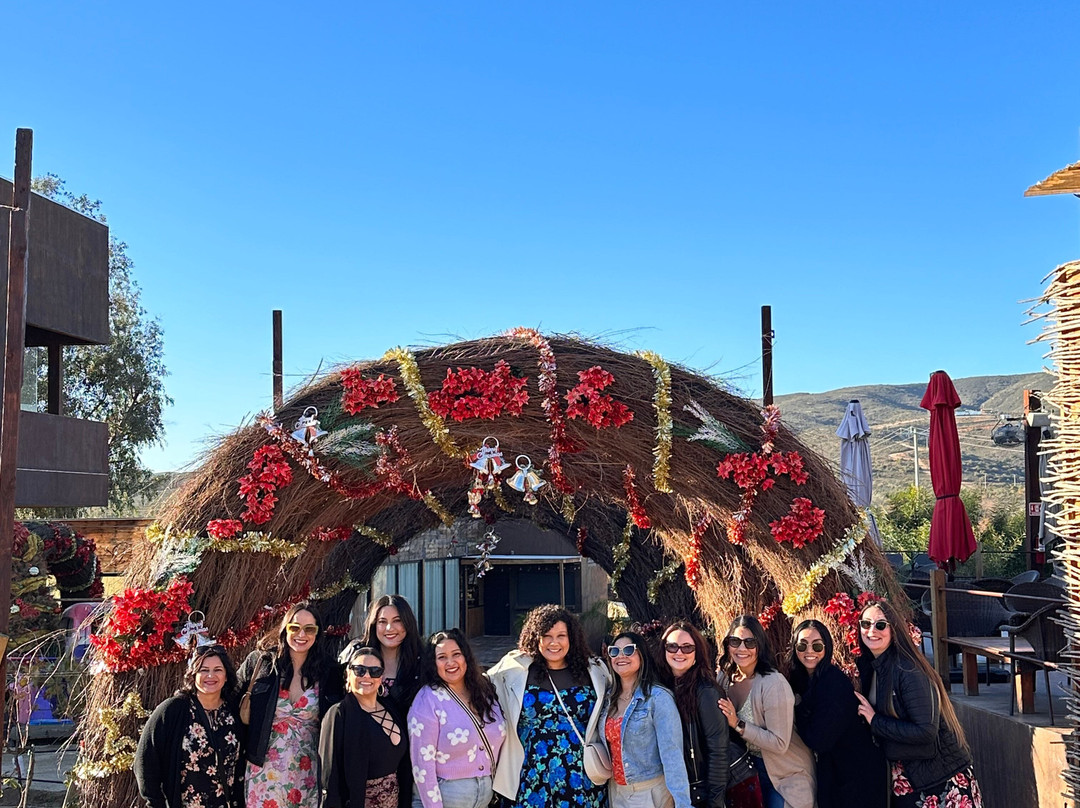 Baja Tour Guide景点图片