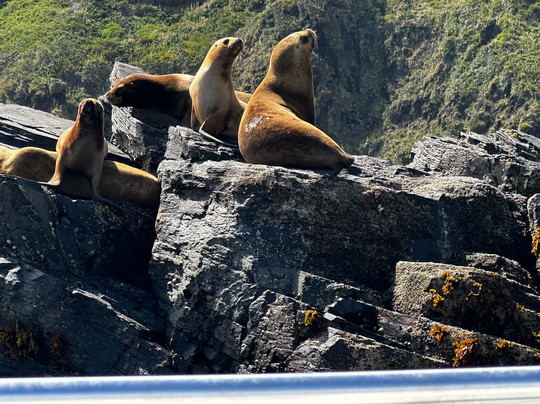 MH Travel & Guide-巴拉斯港必去景点