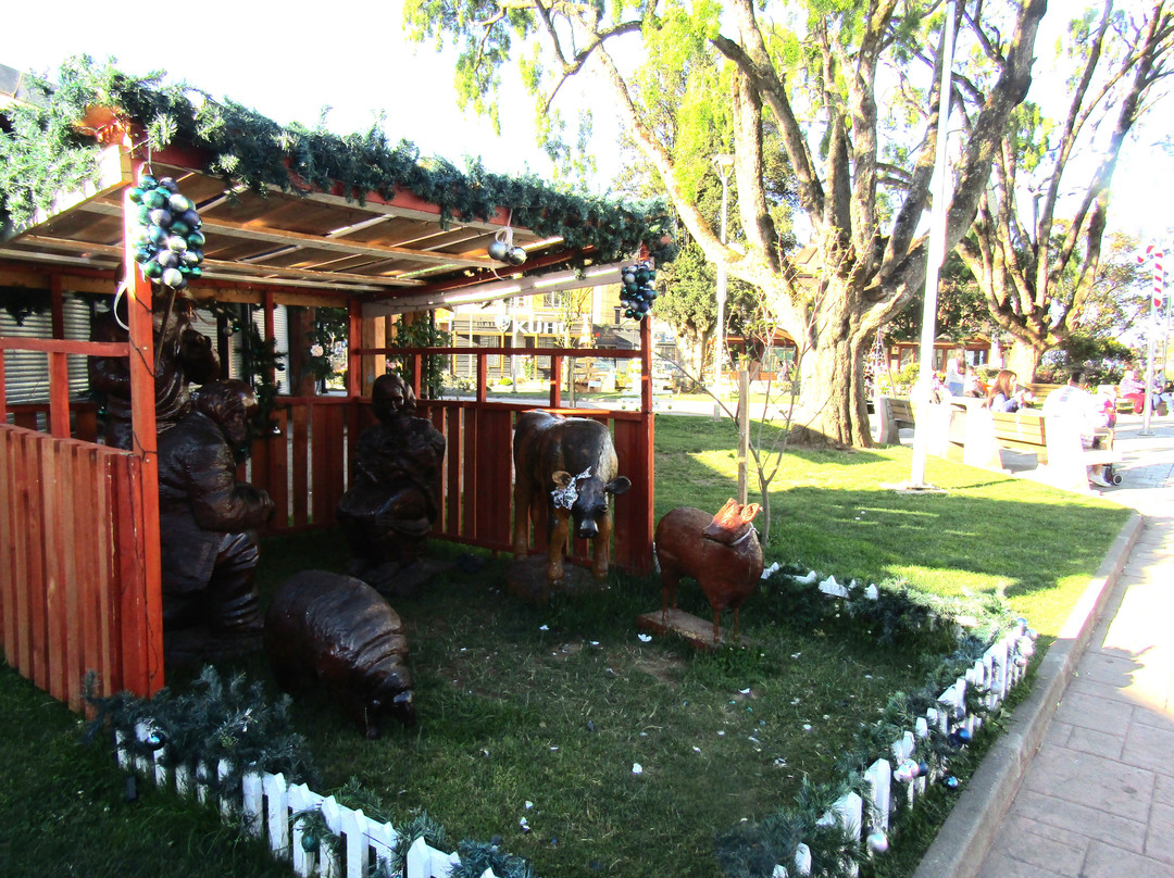 Plaza de Armas-巴拉斯港必去景点