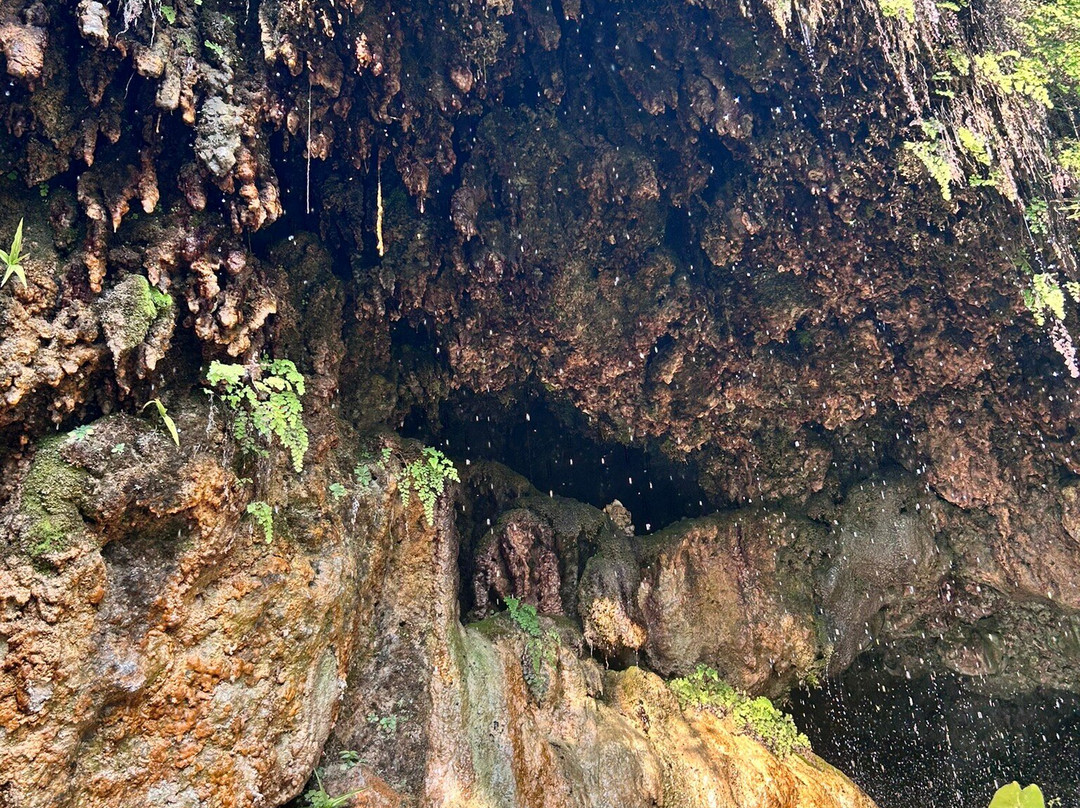 Sahastradhara景点图片