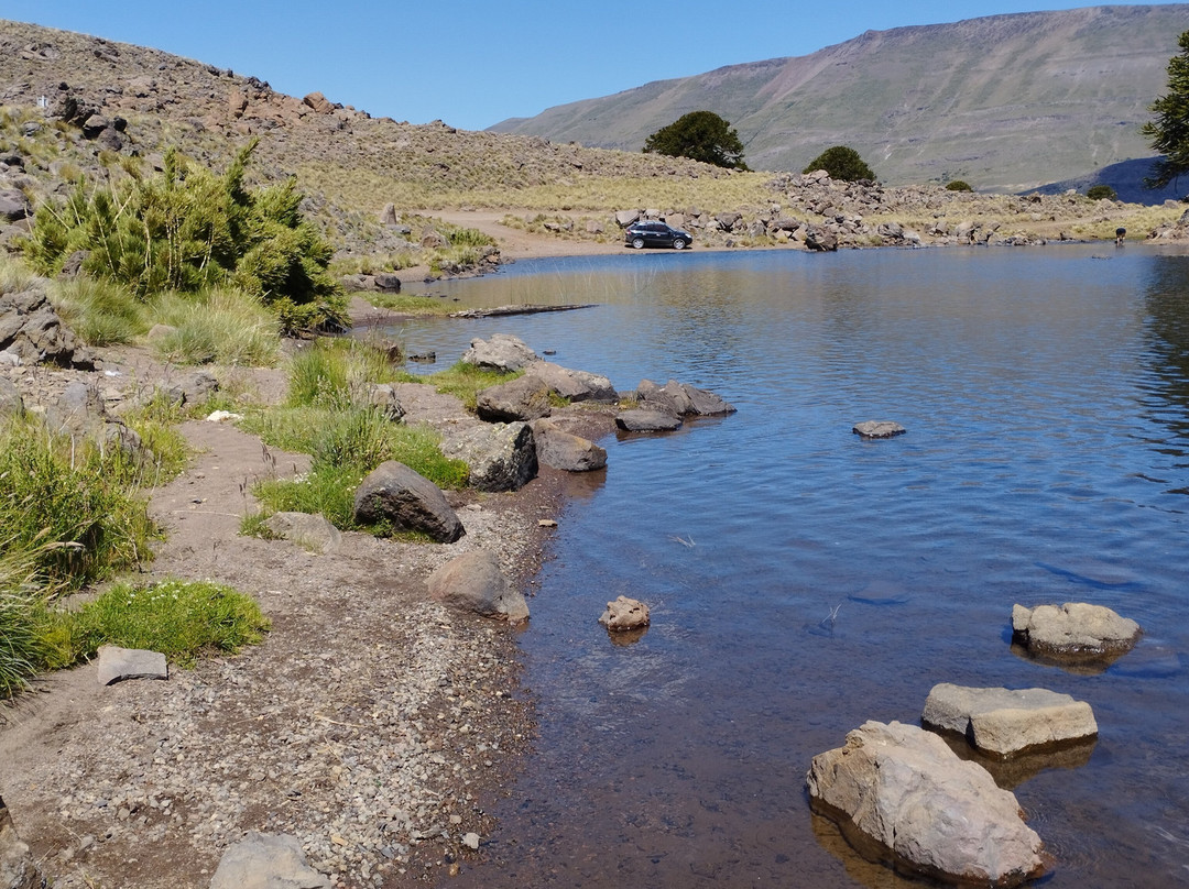 Laguna Hualcupen景点图片