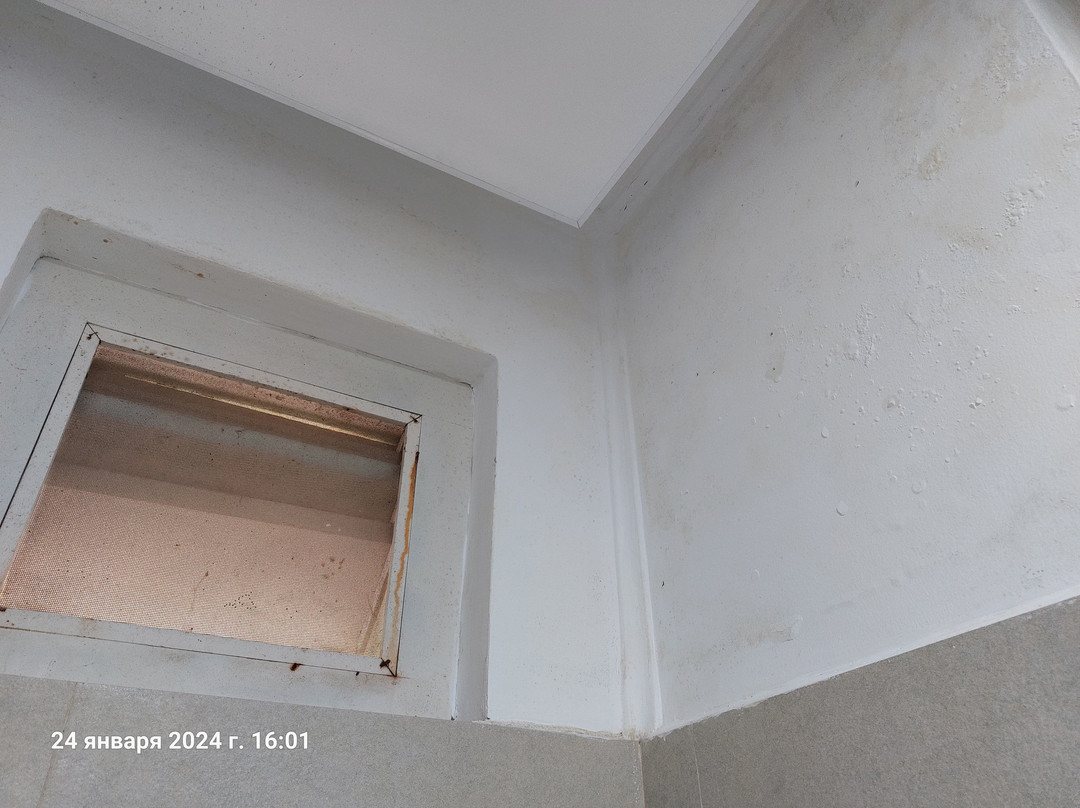 皇家海滩度假村主图