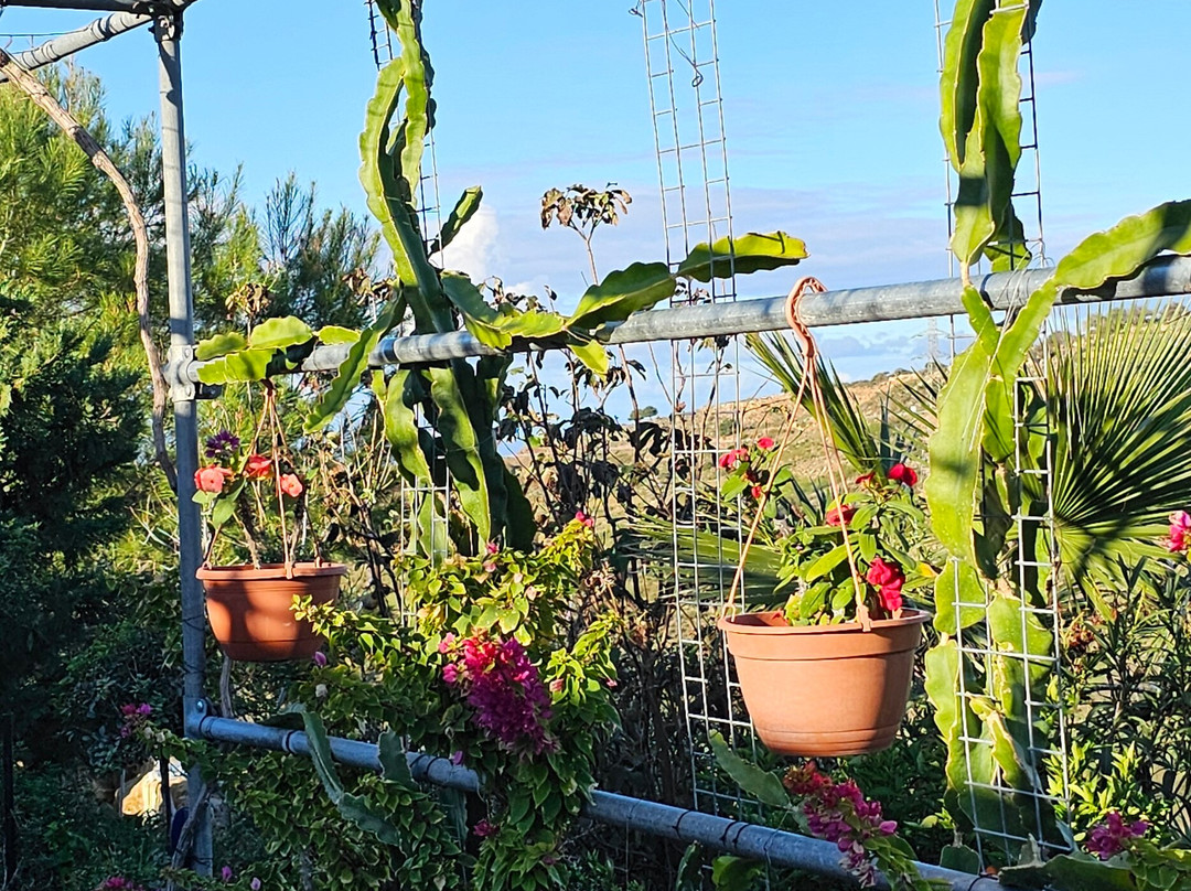 ADONIS Botanic Garden-Akoursos必去景点